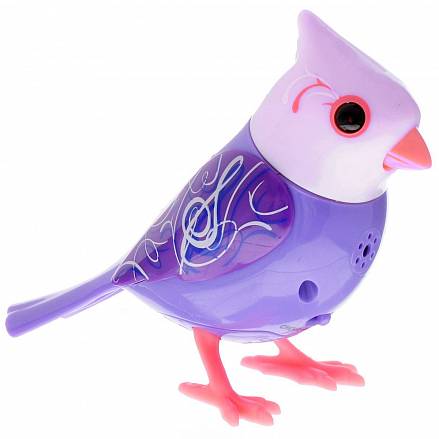 Птичка с кольцом, с фиолетовой головой 